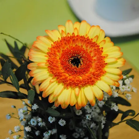 Casa de hóspedes Augenblick